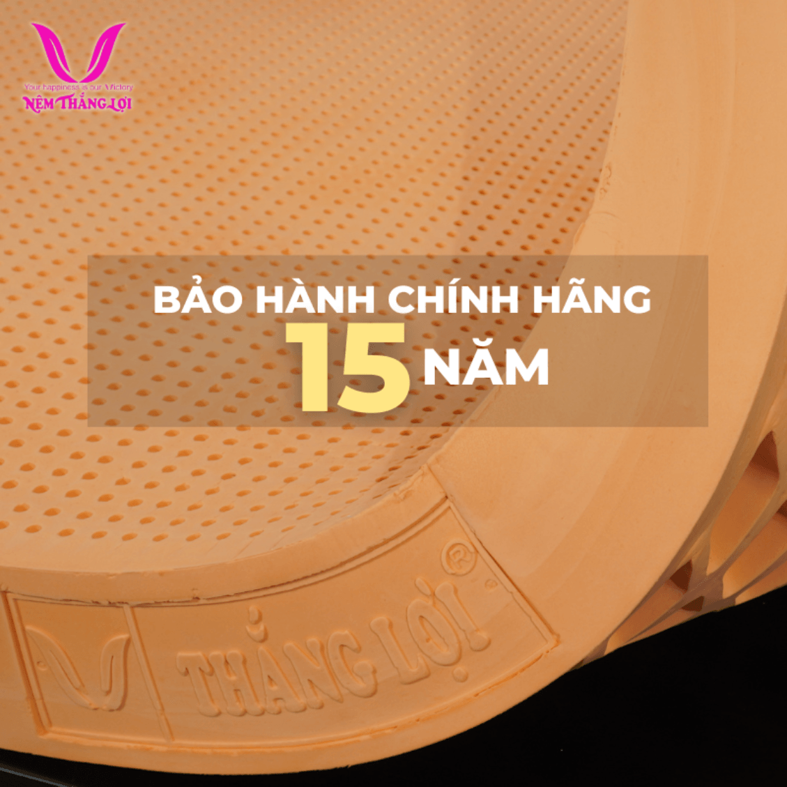 nemthangloichinhhang.vn bao hanh 15 nam chinh hang