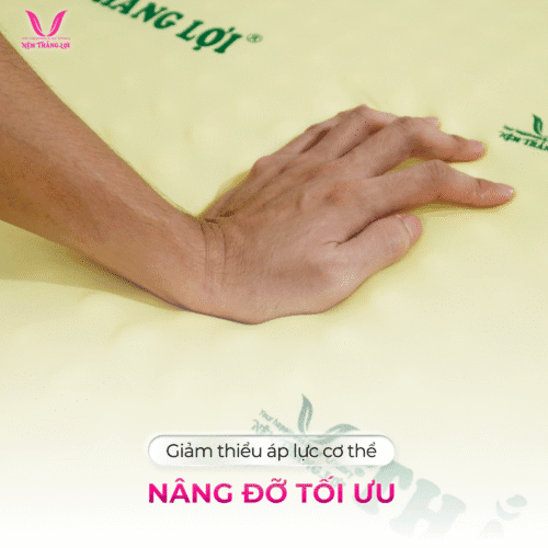 nemthangloichinhhang.vn cao su non massage nang do toi da