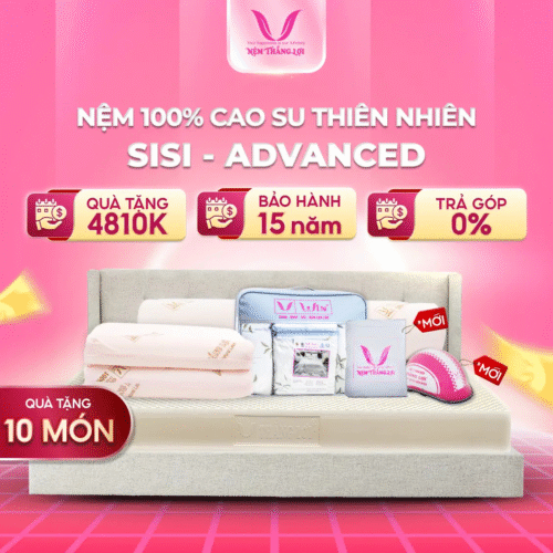 NỆM 100% CAO SU THIÊN NHIÊN THẮNG LỢI SISI – ADVANCED