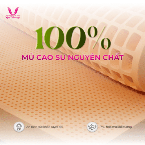 Alternative view of NỆM 100% CAO SU THIÊN NHIÊN THẮNG LỢI SUSU – ORIGINAL