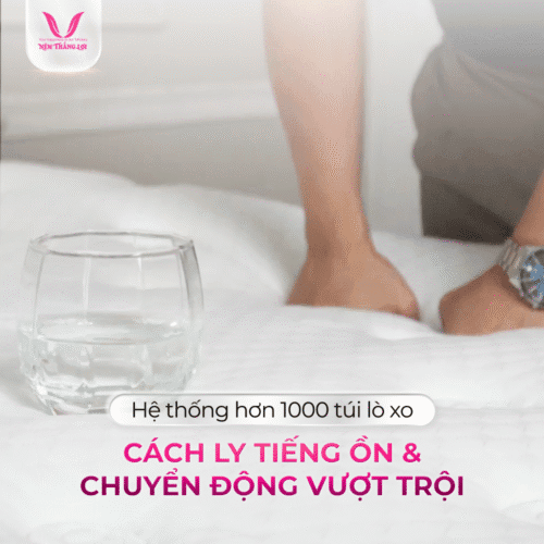 nemthangloichinhhang.vn danisa royal giam tieng on