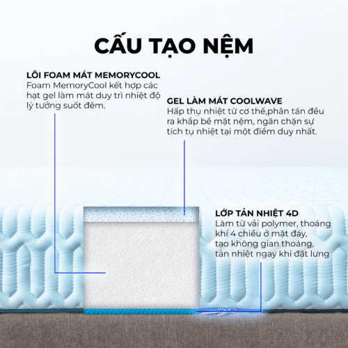 nemthangloichinhhang.vn dieu hoa vitamin cool thang loi cau tao scaled