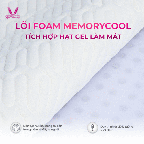 nemthangloichinhhang.vn dieu hoa vitamin cool thang loi loi foam