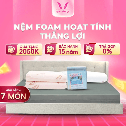NỆM CAO SU FOAM HOẠT TÍNH CAO CẤP THẮNG LỢI