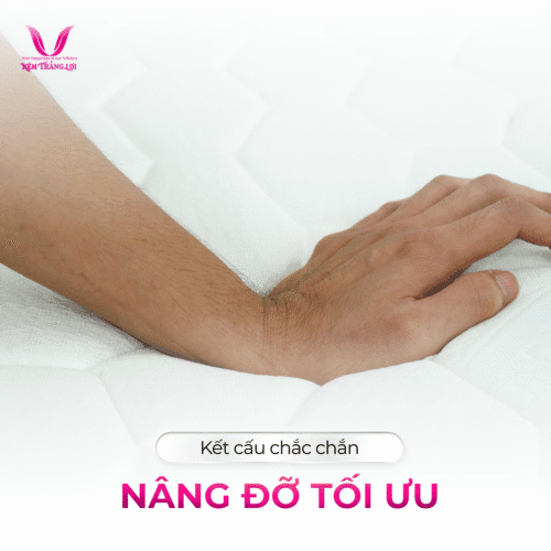 nemthangloichinhhang.vn gam nhung nhan tao ket cau