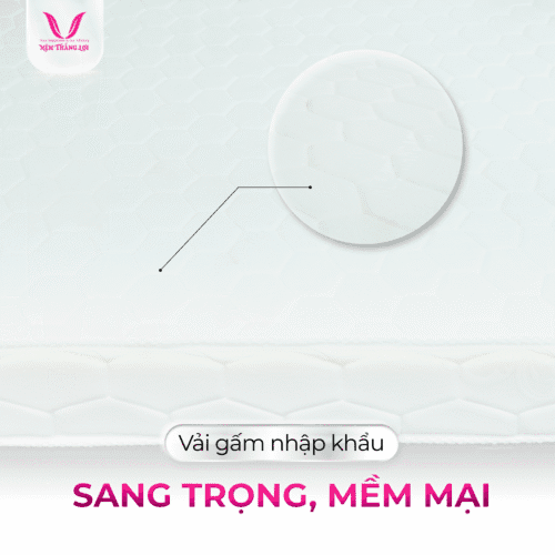 Alternative view of NỆM CAO SU NHÂN TẠO GẤM NHUNG THẮNG LỢI