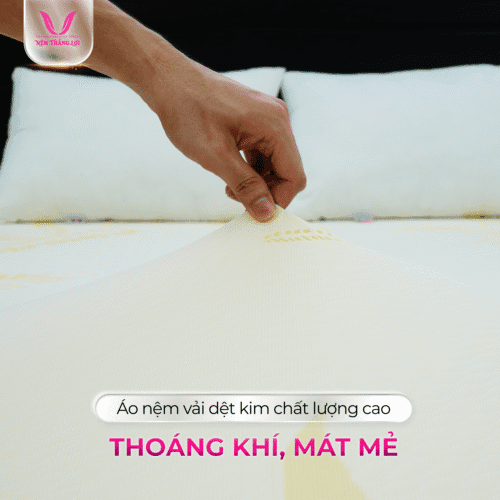 nemthangloichinhhang.vn goled latex cao cap ao gam