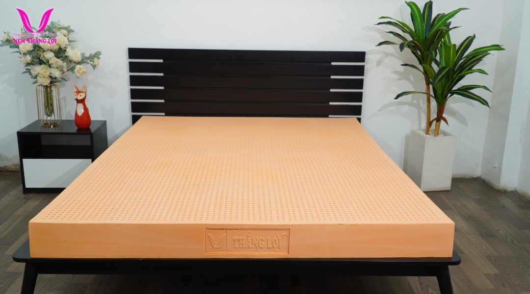 nemthangloichinhhang.vn thien nhien susu