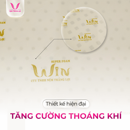 nemthangloichinhhang.vn win foam thang loi thiet ke