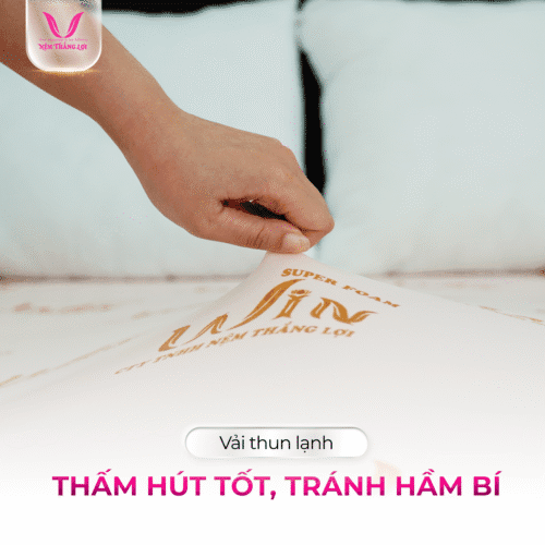 Alternative view of NỆM CAO SU SUPER WIN FOAM THẮNG LỢI