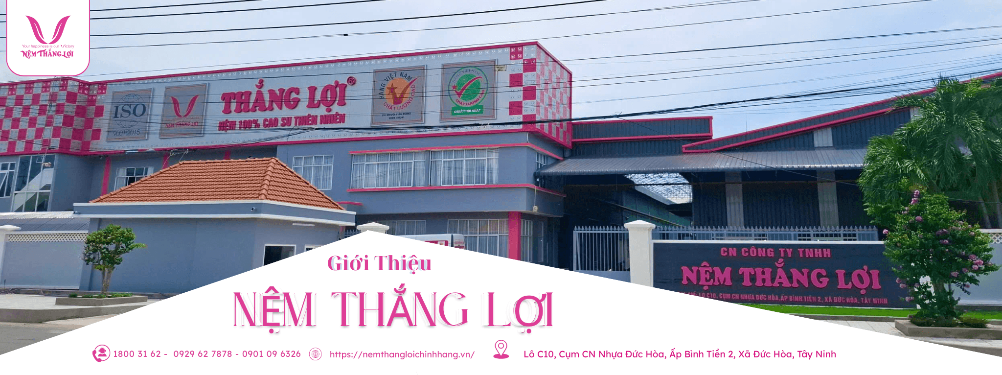 nemthangloichinhhang.vn nem thang loi chinh hang