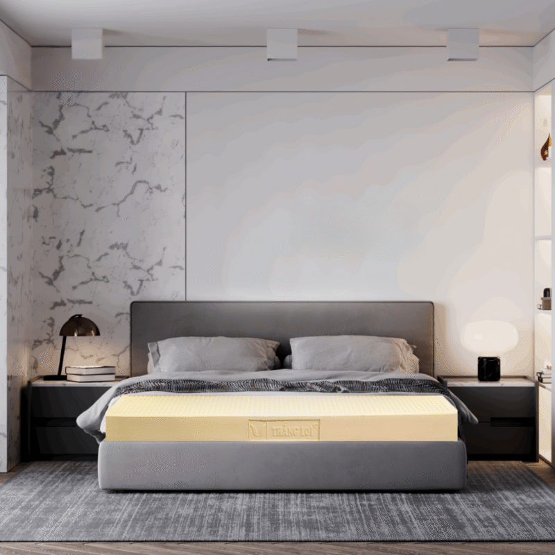 Nem CSTN Thang Loi SiSi Advanced 900 x 900