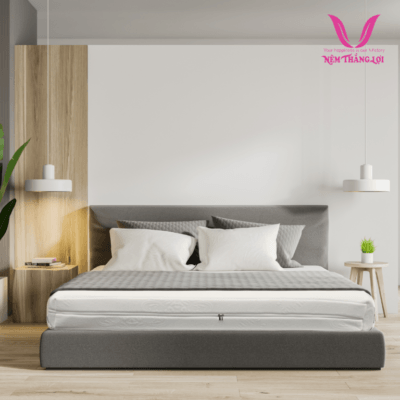 nemthangloichinhhang.vn anh san pham nem foam