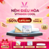 Thang Loi Dieu Hoa Vitamin Cool 1129