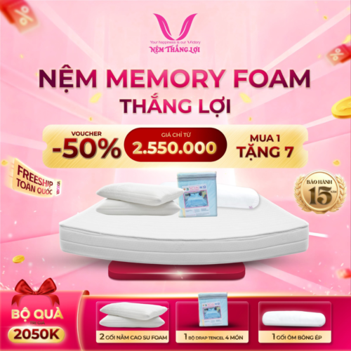 NỆM CAO SU MEMORY FOAM THẮNG LỢI