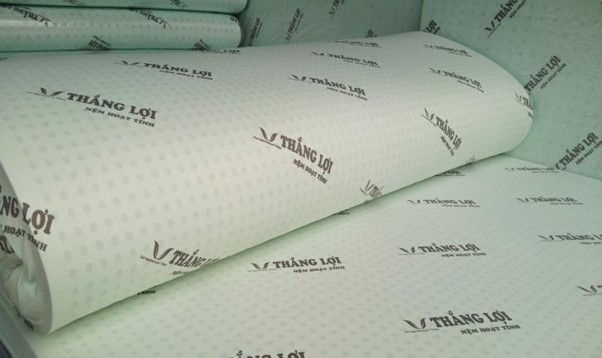 tổng kho nệm Thắng Lợi