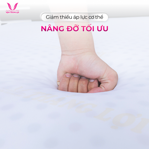 nệm cao su non Thắng Lợi 1m2