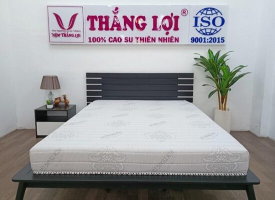 review nệm Thắng Lợi thực tế
