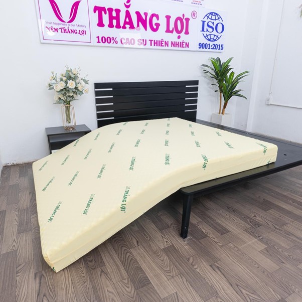 review nệm Thắng Lợi thực tế