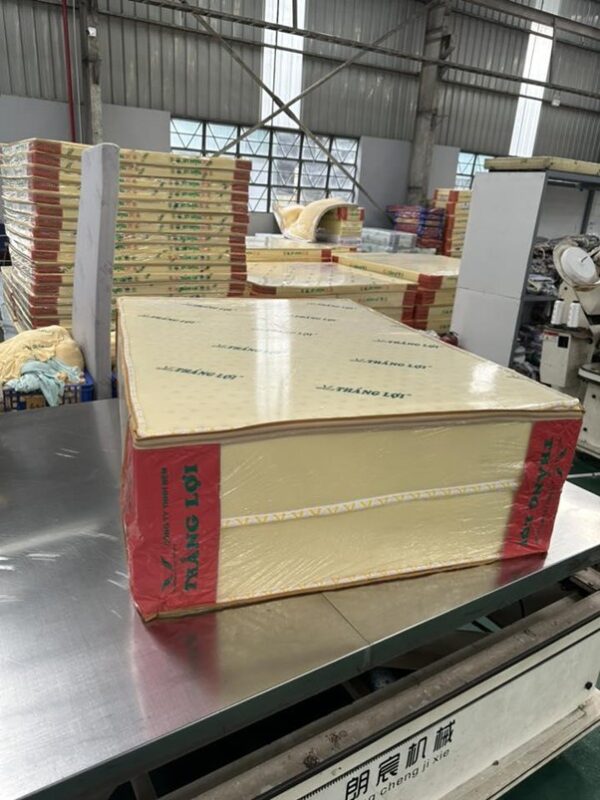 đại lý nệm Thắng Lợi uy tín