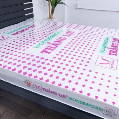 nệm Thắng Lợi tại TPHCM