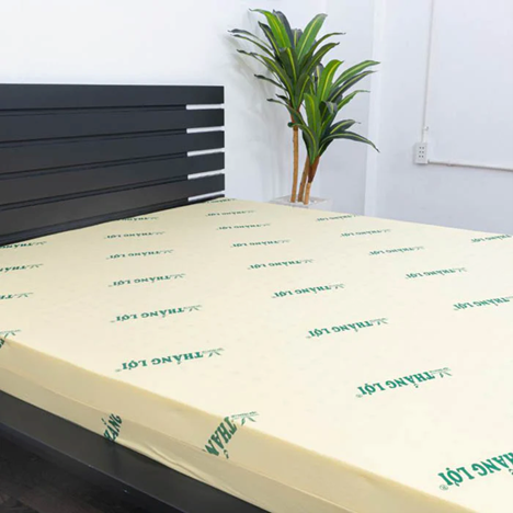 nệm Thắng Lợi KCN Tân Phú Trung